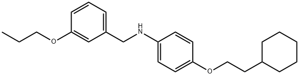 N-[4-(2-Cyclohexylethoxy)phenyl]-N-(3-propoxybenzyl)amine Struktur