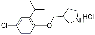 3-[(4-Chloro-2-isopropylphenoxy)methyl]-pyrrolidine hydrochloride Struktur