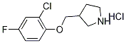 2-Chloro-4-fluorophenyl 3-pyrrolidinylmethylether hydrochloride Struktur