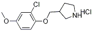 3-[(2-Chloro-4-methoxyphenoxy)methyl]pyrrolidinehydrochloride Struktur