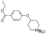 Ethyl 4-(4-piperidinyloxy)benzoate hydrochloride Struktur