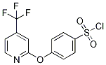 2-[4-(Chlorosulphonyl)phenoxy]-4-(trifluoromethyl)pyridine Struktur