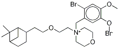 Pinaverium-D4 Bromide Struktur