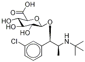 rac erythro-Dihydro Bupropion β-D-Glucuronide Struktur