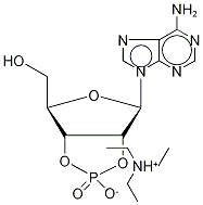 Adenosine 2’,3’-Cyclic Phosphate-13C5 Triethylammonium Salt Struktur