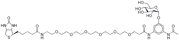 N-Acetyl-N-21-(biotinylaMino)-4,7,10,13,16,19-hexaoxaheneicosanoyl-3,5-diaMinophenol-α-glucoside Struktur