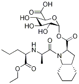 Perindopril Acyl-α-D-glucuronide Struktur