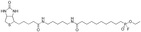 FP-Biotin-d4 Struktur