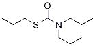 VernaM-d7 Struktur