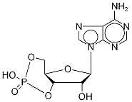 Adenosine-3’5’cyclic-13C5 Monophosphate Struktur