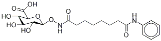 1-O-[[1,8-Dioxo-8-(phenyl-d5-amino)octyl]amino]--D-glucopyranuronic Acid Struktur