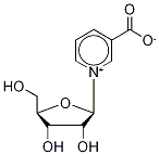 Nicotinic-d4 Riboside Struktur