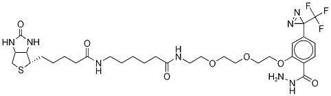 2-[2-[2-[2-[6-(BiotinylaMinohexanoyl]aMinoethoxy]ethoxy]ethoxy]-4-[3-(trifluoroMethyl)-3H-diazirin-3-yl]benzoic Acid Hydrazide Struktur