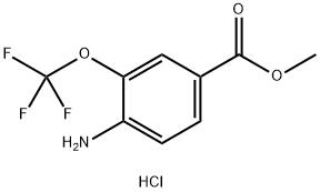 Methyl 4-AMino-3-(trifluoroMethoxy)benzoate Struktur