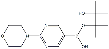 2-(4-Morpholino)pyriMidine-5-boronic acid pinacol ester Struktur