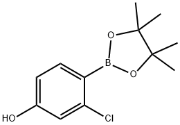 3-Chloro-4-(4,4,5,5-tetraMethyl-1,3,2-dioxaborolan-2-yl)phenol price.