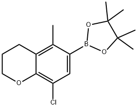 2-(8-chloro-5-MethylchroMan-7-yl)-4,4,5,5-tetraMethyl-1,3,2-dioxaborolane Struktur