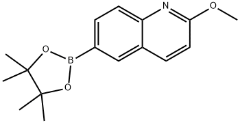 2-メトキシキノリン-6-ボロン酸, ピナコールエステル 化學構(gòu)造式