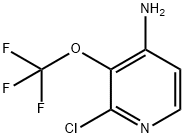 2-chloro-3-(trifluoroMethoxy)pyridin-4-aMine Struktur