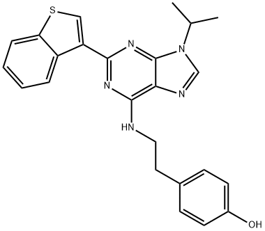 SteMRegenin 1