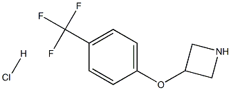 3-[4-(TrifluoroMethyl)phenoxy]azetidine HCl Struktur