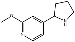 2-METHOXY-4-PYRROLIDIN-2-YLPYRIDINE Struktur