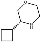 (R)-3-CyclobutylMorpholine Struktur