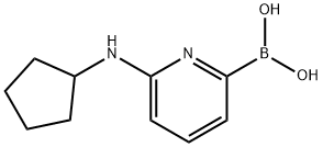 6-(CYCLOPENTYLAMINO)PYRIDINE-2-BORONIC ACID Struktur