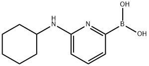 6-(CYCLOHEXYLAMINO)PYRIDINE-2-BORONIC ACID Struktur