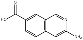 3-aMinoisoquinoline-7-carboxylic acid Struktur