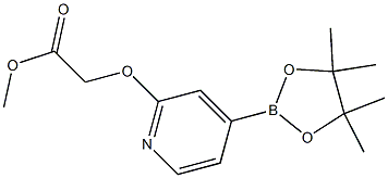 methyl 2-(4-(4,4,5,5-tetramethyl-1,3,2-dioxaborolan-2-yl)pyridin-2-yloxy)acetate Struktur