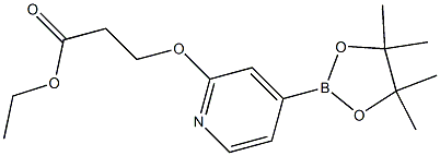 ethyl 3-(4-(4,4,5,5-tetramethyl-1,3,2-dioxaborolan-2-yl)pyridin-2-yloxy)propanoate Struktur