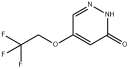 5-(2,2,2-trifluoroethoxy)pyridazin-3(2H)-one Struktur