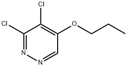 3,4-dichloro-5-propoxypyridazine Struktur