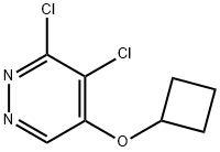 3,4-dichloro-5-cyclobutoxypyridazine Struktur