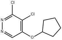 3,4-dichloro-5-(cyclopentyloxy)pyridazine Struktur