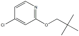 4-chloro-2-(neopentyloxy)pyridine Struktur