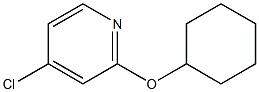 4-chloro-2-(cyclohexyloxy)pyridine Struktur