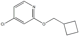 4-chloro-2-(cyclobutylmethoxy)pyridine Struktur