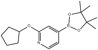 2-(cyclopentyloxy)-4-(4,4,5,5-tetramethyl-1,3,2-dioxaborolan-2-yl)pyridine Struktur