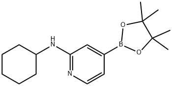 N-cyclohexyl-4-(4,4,5,5-tetramethyl-1,3,2-dioxaborolan-2-yl)pyridin-2-amine Struktur