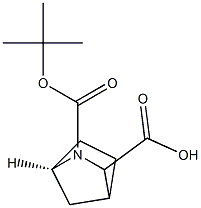 2-Azabicyclo[2.2.1]heptane-2,3-dicarboxylic acid, 2-(1,1-diMethylethyl) ester, (1R-endo)- (9CI) Struktur