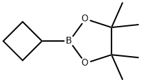 環(huán)丁基硼酸頻哪醇酯, 1360914-08-4, 結(jié)構(gòu)式