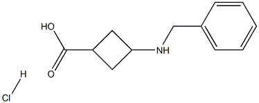 3-(benzylaMino)cyclobutanecarboxylic acid hydrochloride Struktur