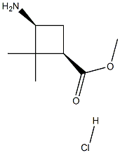 cis-Methyl 3-aMino-2,2-diMethylcyclobutanecarboxylate hydrochloride Struktur