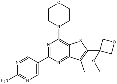 5-(6-(3-Methoxyoxetan-3-yl)-4-Morpholinothieno[3,2-d]pyriMidin-2-yl)pyriMidin-2-aMine