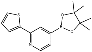 4-(4,4,5,5-tetraMethyl-1,3,2-dioxaborolan-2-yl)-2-(thiophen-2-yl)pyridine Struktur