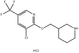 3-Chloro-2-(piperidin-3-ylMethoxy)-5-trifluoroMethyl-pyridine hydrochloride Struktur