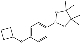 2-(4-Cyclobutoxy-phenyl)-4,4,5,5-tetraMethyl-[1,3,2]dioxaborolane Struktur