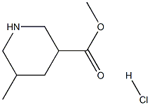 Methyl 5-Methylpiperidine-3-carboxylate hydrochloride Struktur